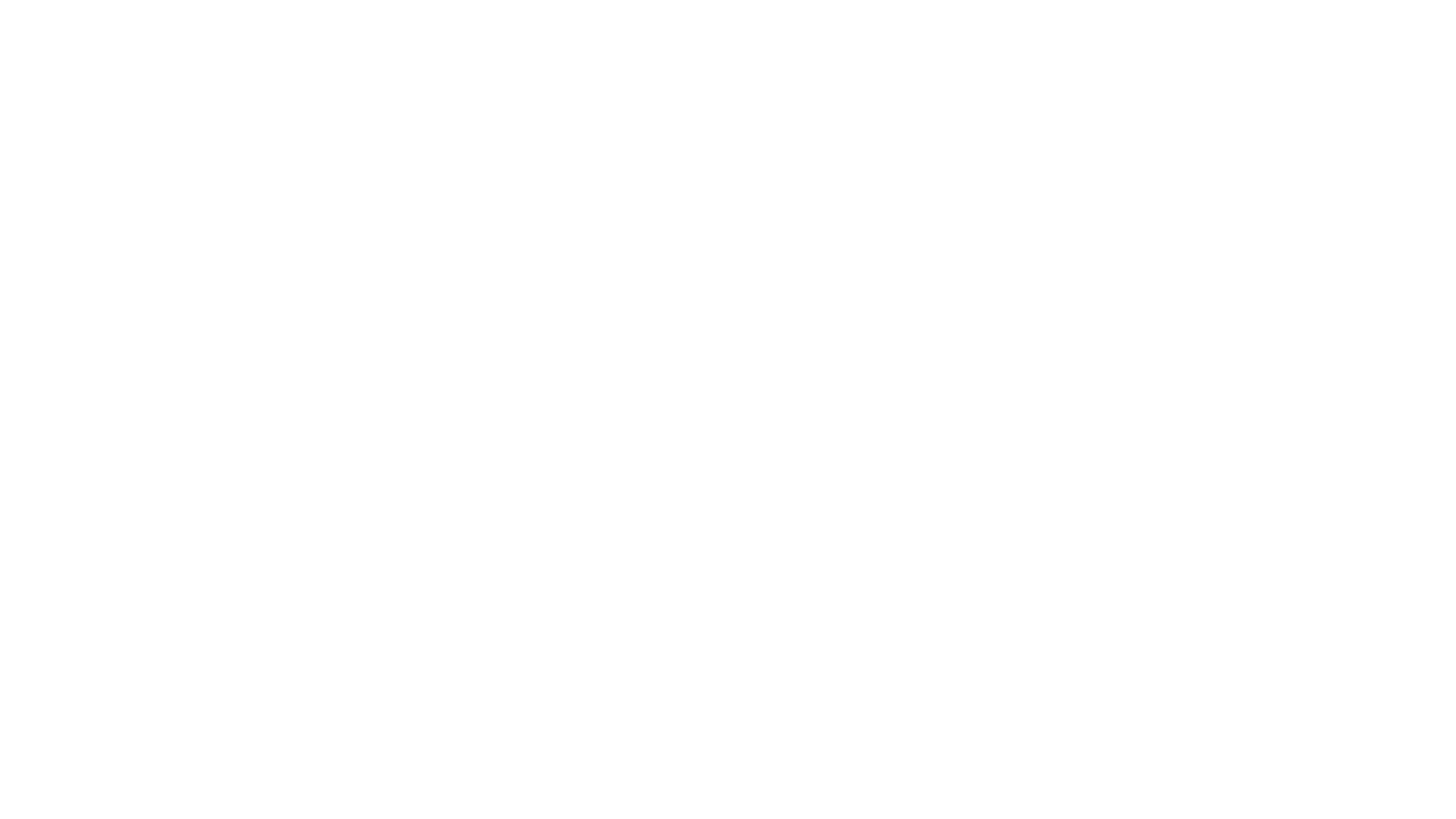AV2 COMPANY